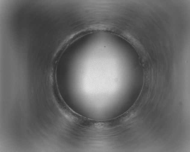 X0000073970064200609051856