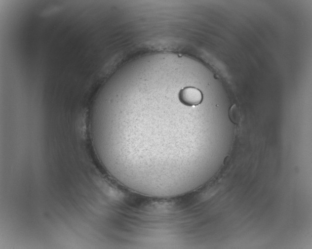 X0000073970065200609051856