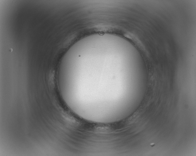 X0000073970066200609051856