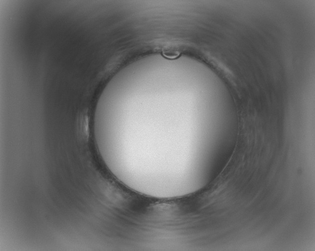 X0000073970067200609051856