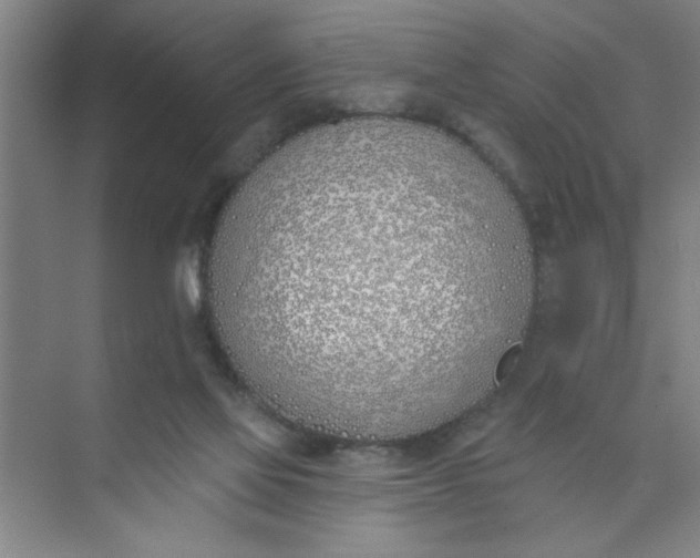 X0000073970069200609051856