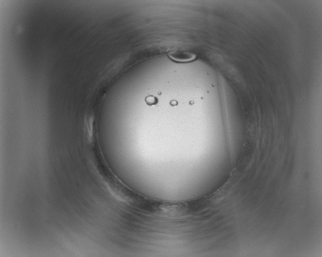 X0000073970070200609051856