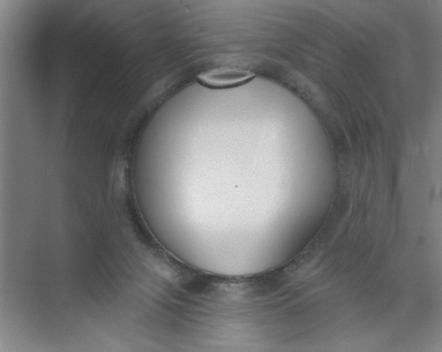 X0000073970071200609051856