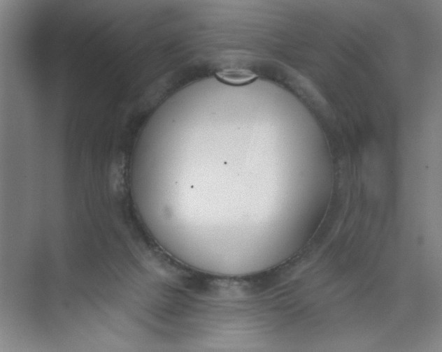 X0000073970073200609051856