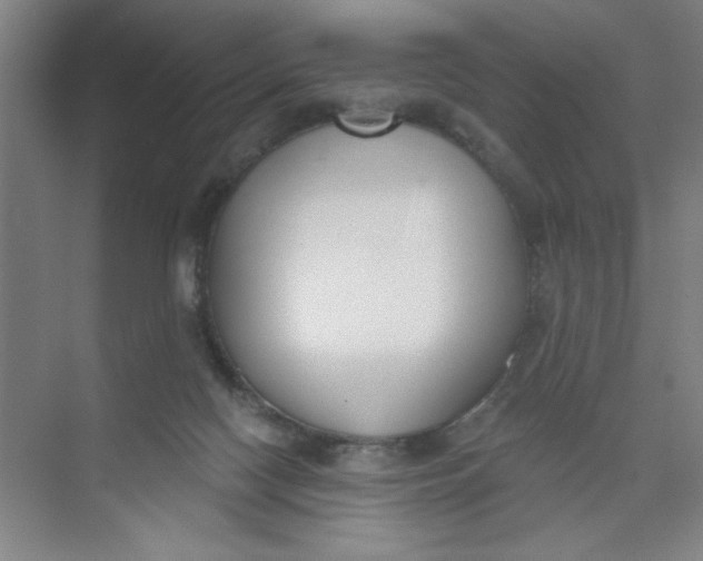 X0000073970074200609051856