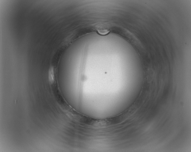 X0000073970075200609051856