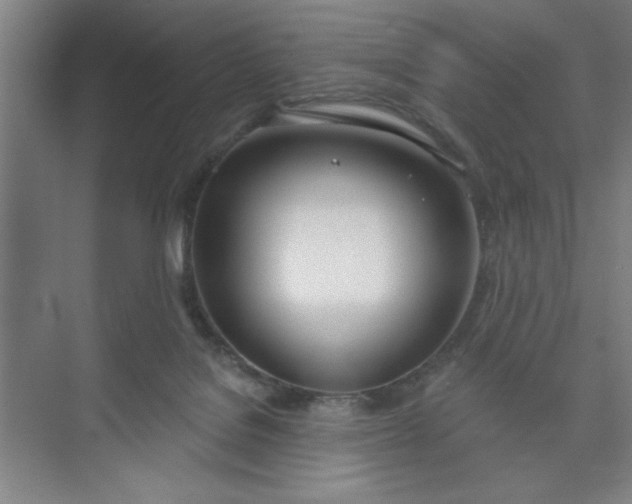 X0000073970076200609051856