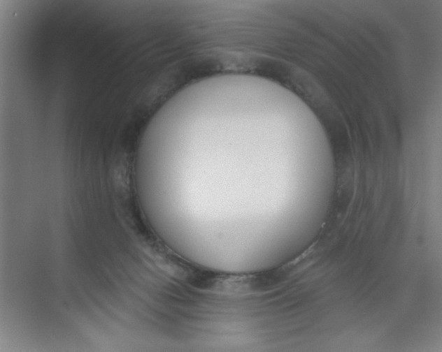 X0000073970078200609051856