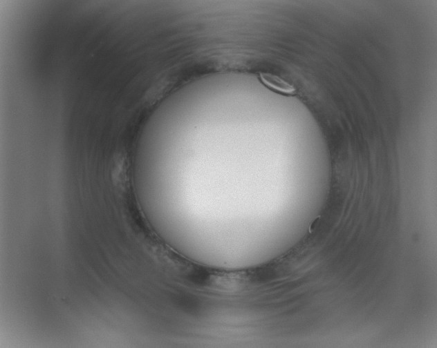 X0000073970079200609051856