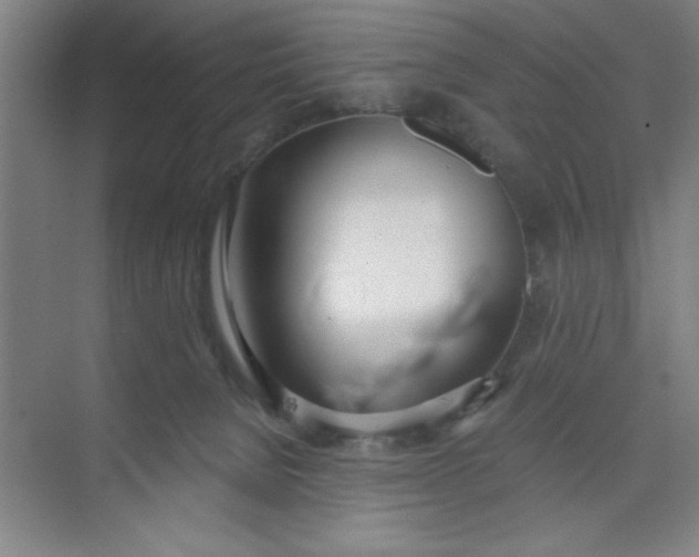 X0000073970080200609051856