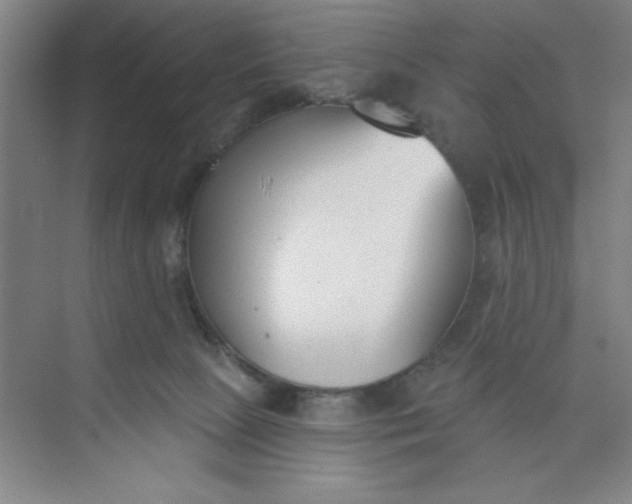 X0000073970081200609051856