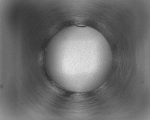 X0000073970082200609051856