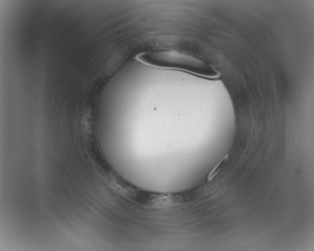 X0000073970083200609051856