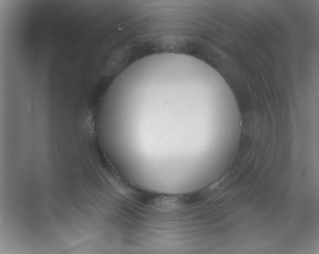 X0000073970086200609051856