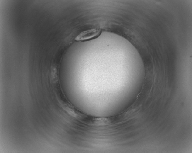 X0000073970087200609051856