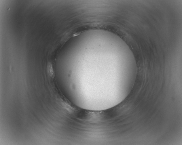 X0000073970089200609051856