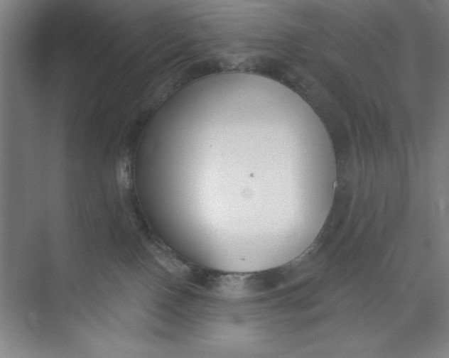 X0000073970090200609051856