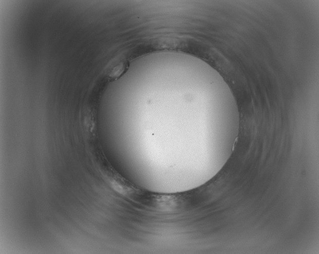 X0000073970091200609051856