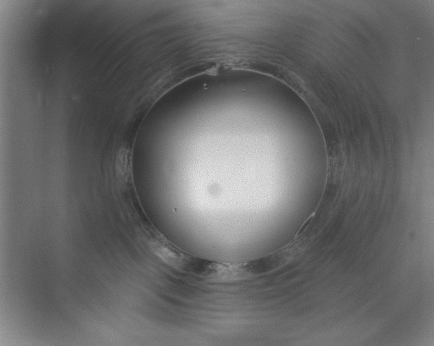 X0000073970093200609051856