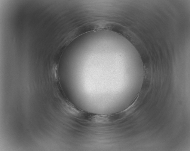 X0000073970094200609051856