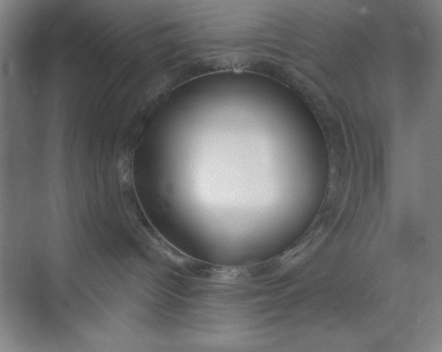 X0000073970096200609051856