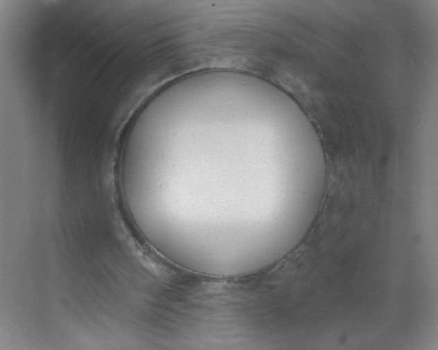 X0000073970098200609051855