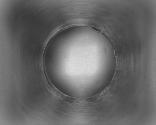 X0000073970099200609051855