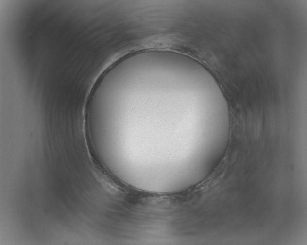 X0000073970100200609051855