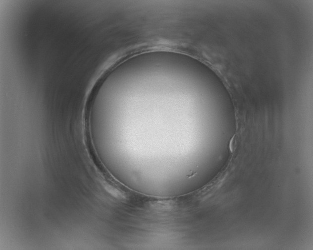 X0000073970102200609051855