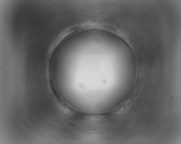 X0000073970103200609051855