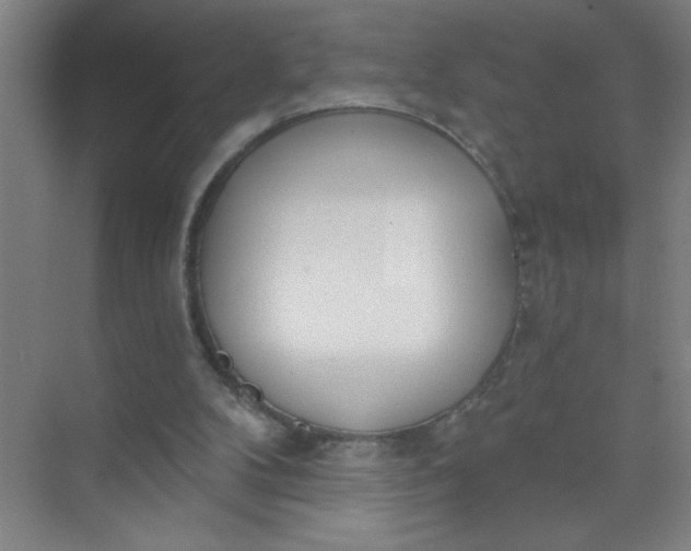 X0000073970104200609051855