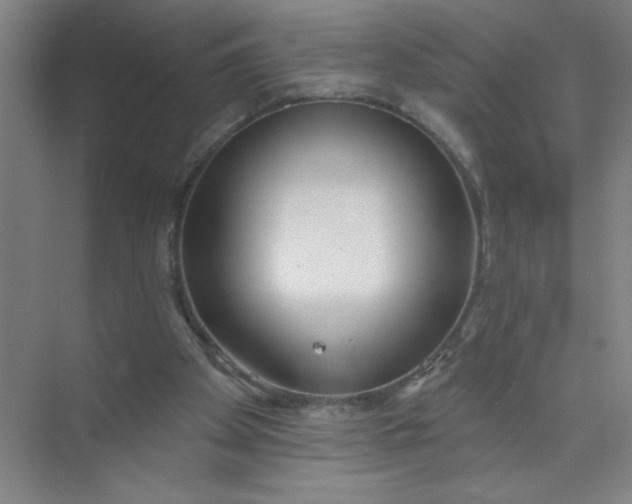 X0000073970105200609051855