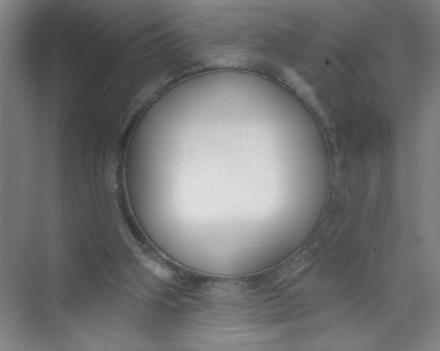 X0000073970106200609051855