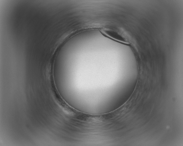 X0000073970107200609051855