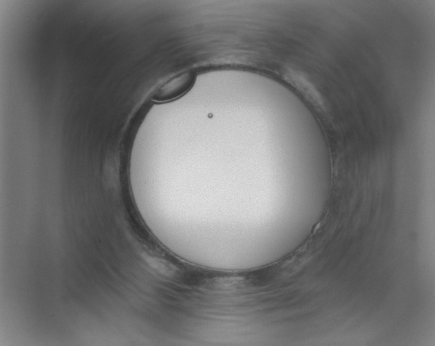 X0000073970108200609051855