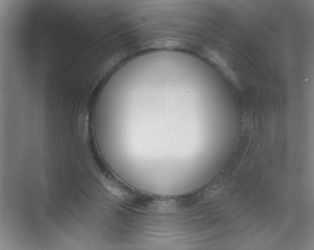 X0000073970110200609051855