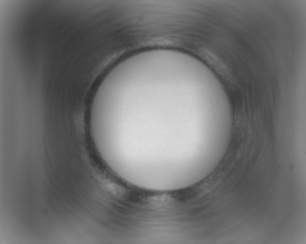 X0000073970112200609051855