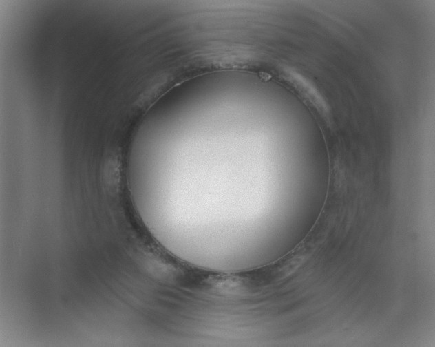 X0000073970113200609051855