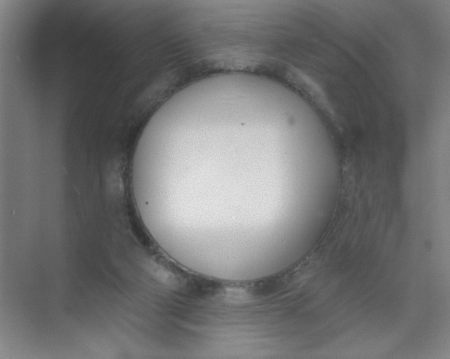 X0000073970114200609051855