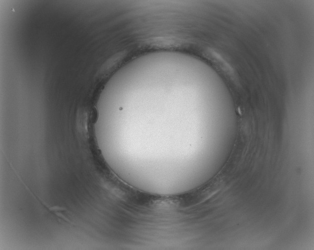 X0000073970115200609051855