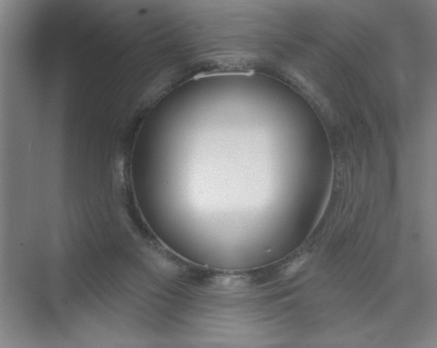 X0000073970117200609051855