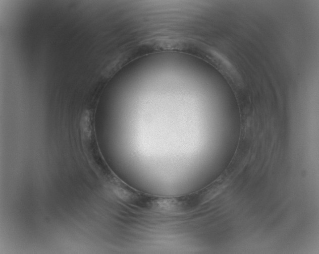 X0000073970121200609051855