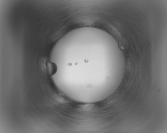 X0000073970122200609051855