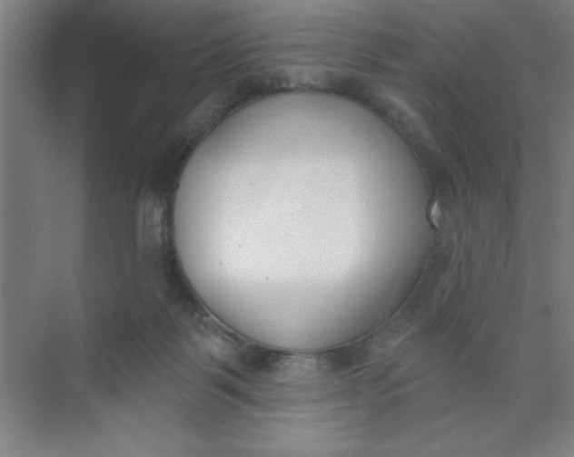 X0000073970123200609051855