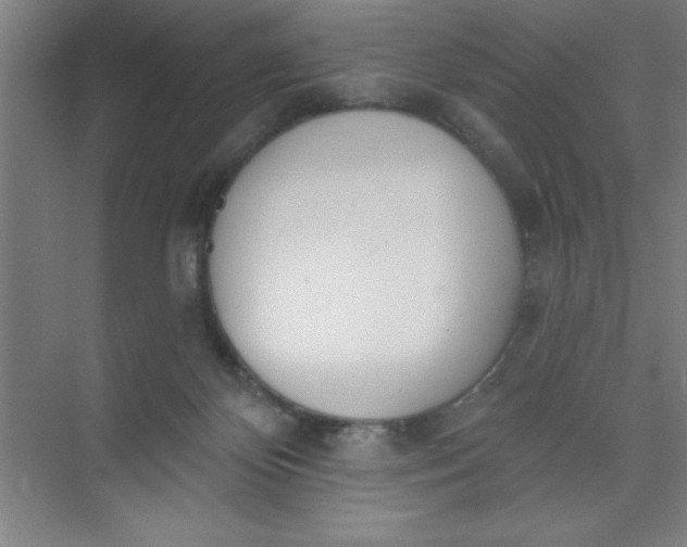 X0000073970124200609051855