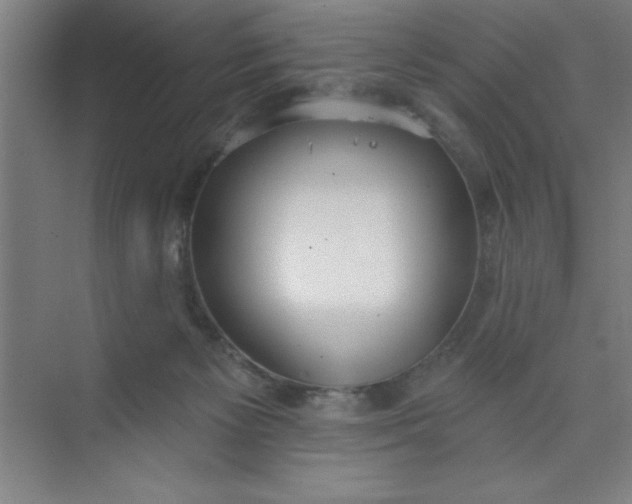 X0000073970125200609051855