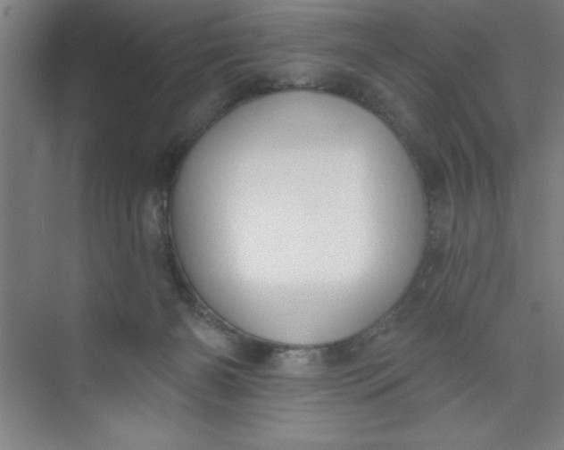 X0000073970126200609051855