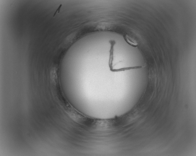 X0000073970127200609051855