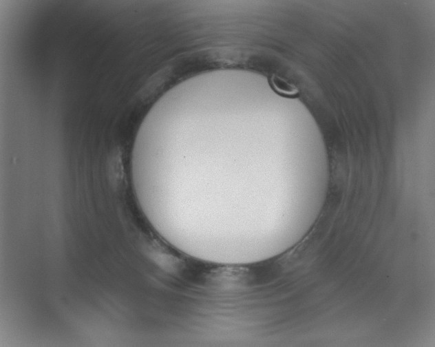 X0000073970128200609051855