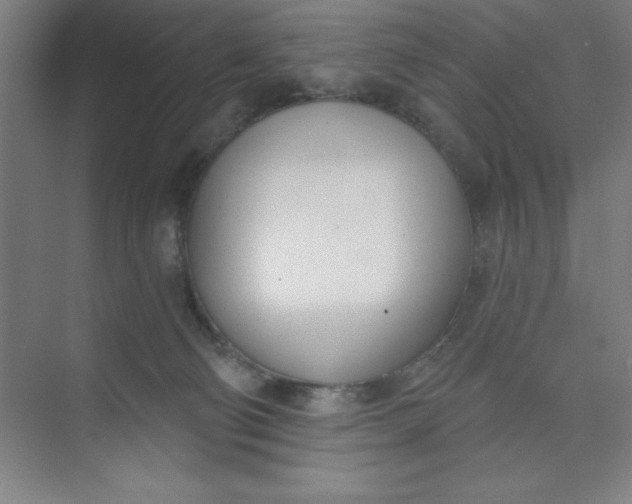 X0000073970130200609051855